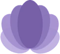 Cavalari Studio